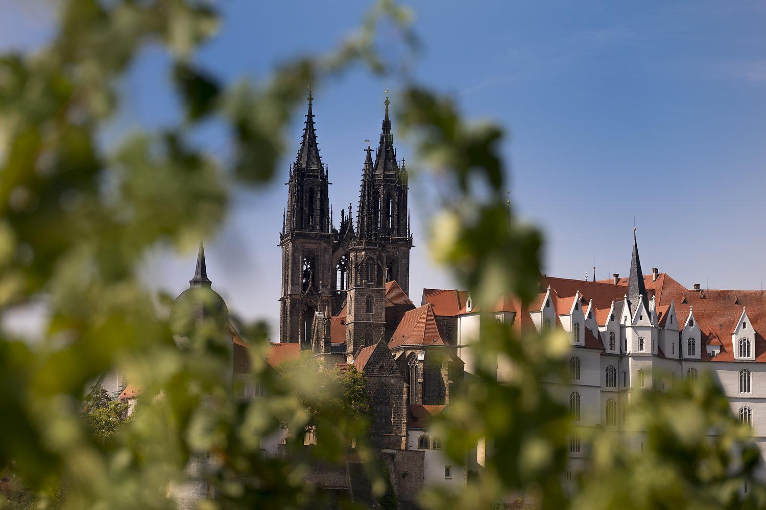 1908180276KOSECKI